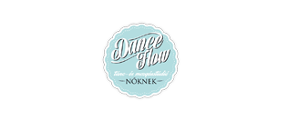 A B2D partnerei: a DanceFlow logója